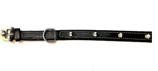 Leather Spike Stud Puppy Collar Black