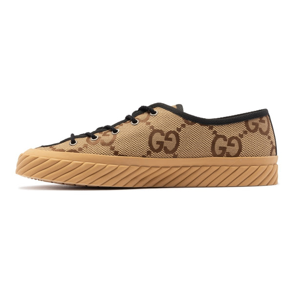 Tortuga Low Top Sneakers in Camel